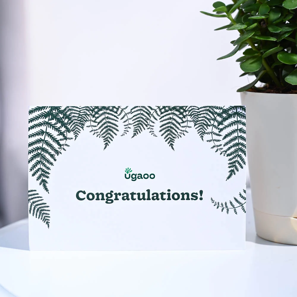 Jade Mini Congratulations Gift hamper - Image 5