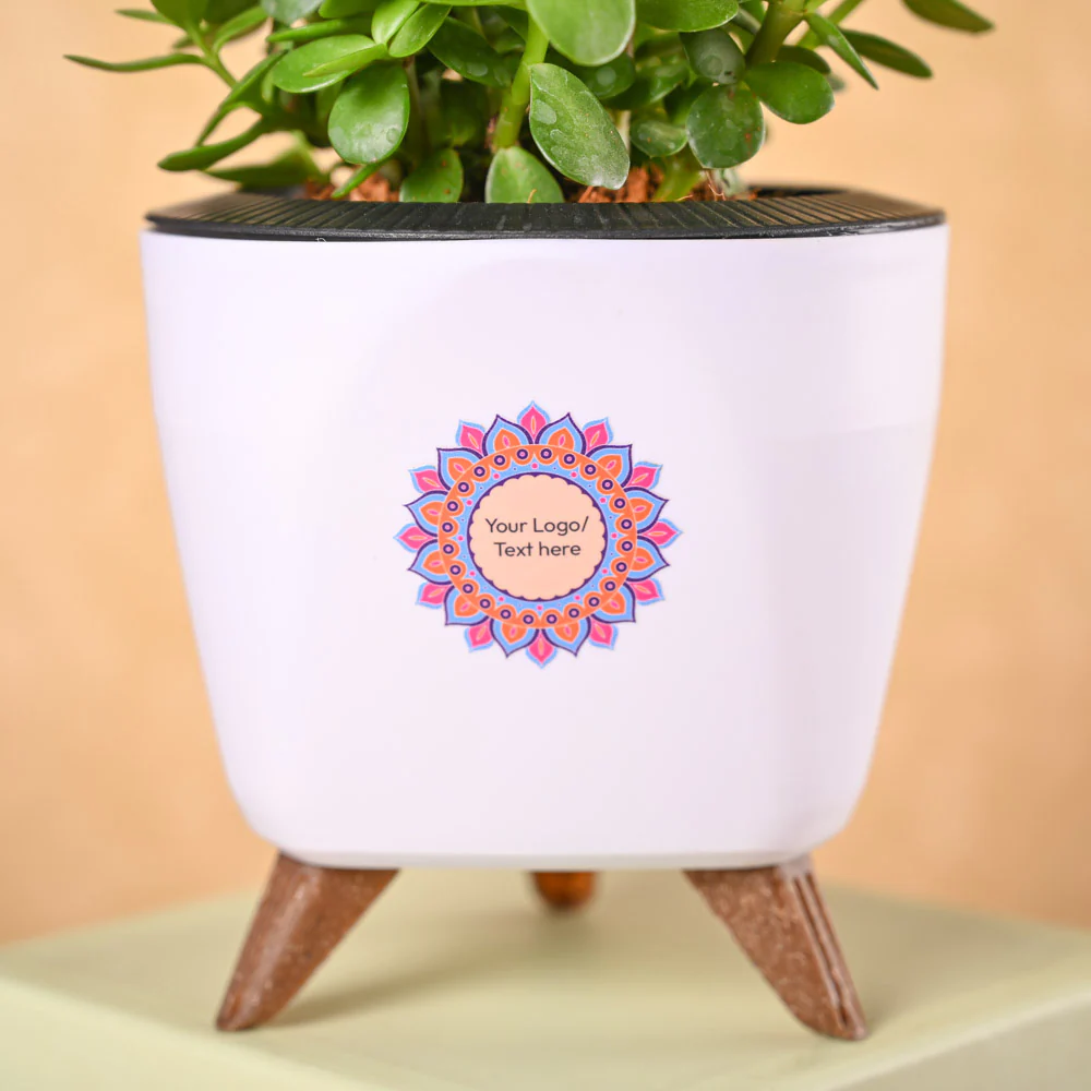 Jade Mini & Epiphany Diwali Gift Hamper - Image 3