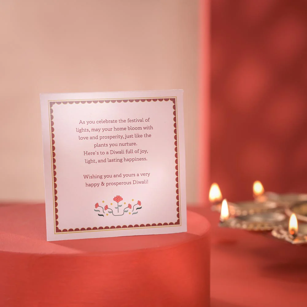 Jade Mini Plant Diwali Gift with Greeting Card - Image 5