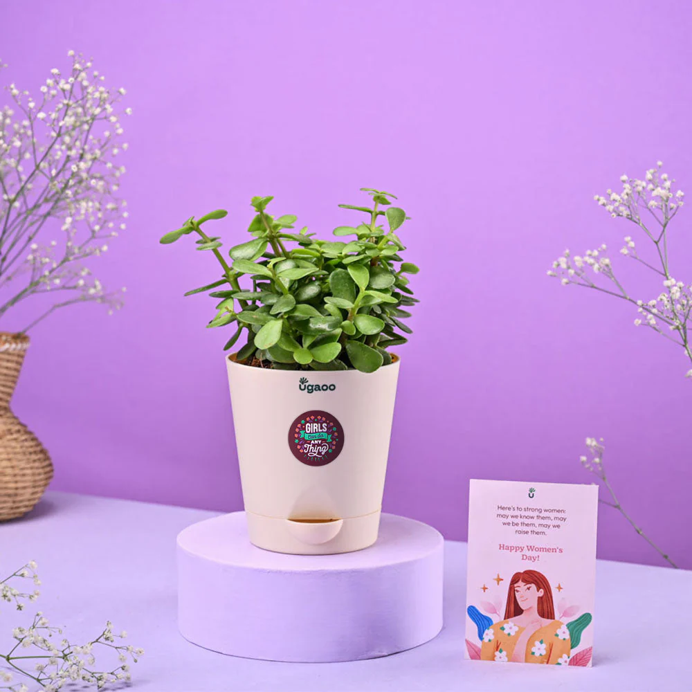Jade Mini Women's Day Gift - Image 2