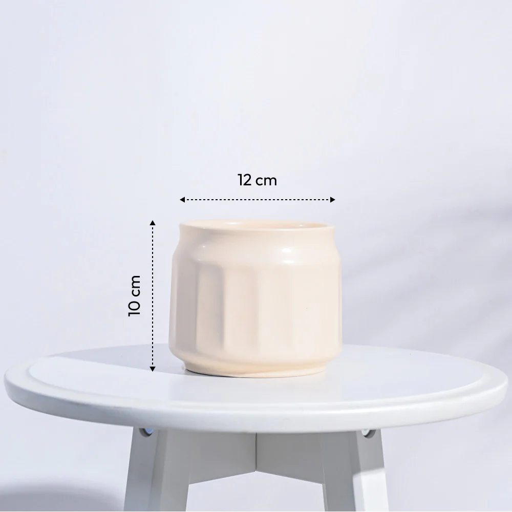 Jar Ceramic Pot - Image 12
