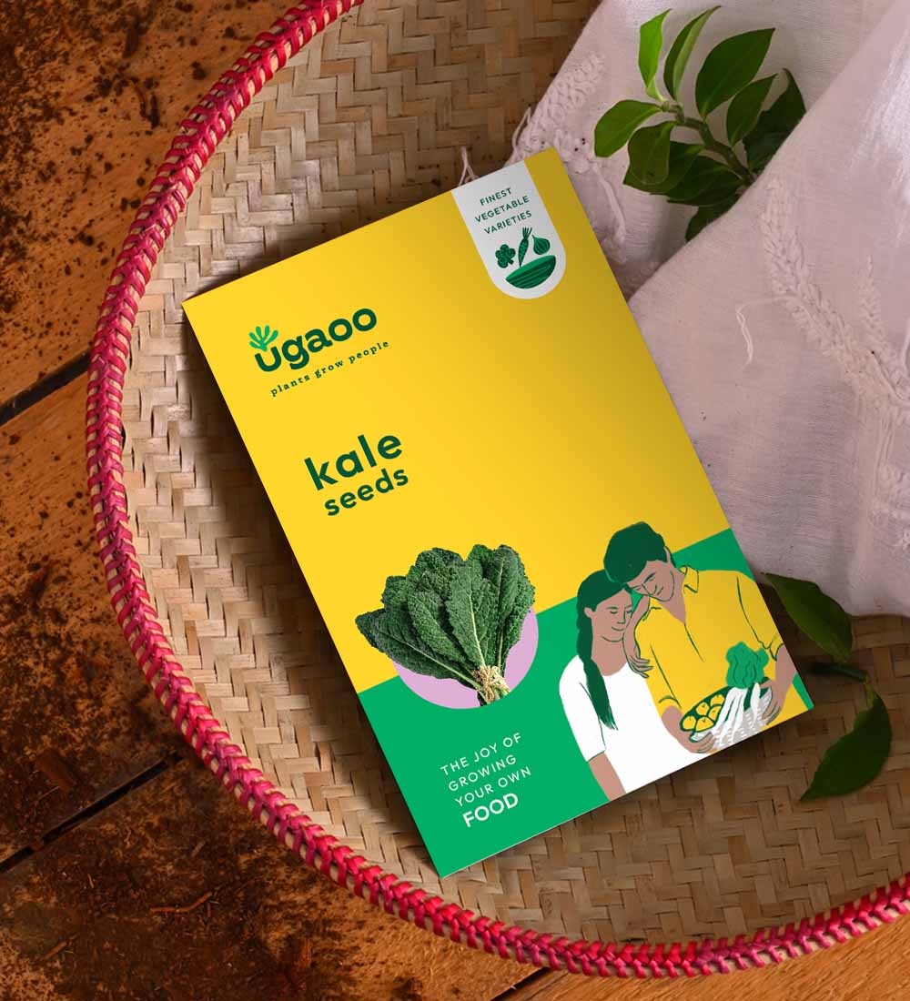Kale Seeds - Image 2