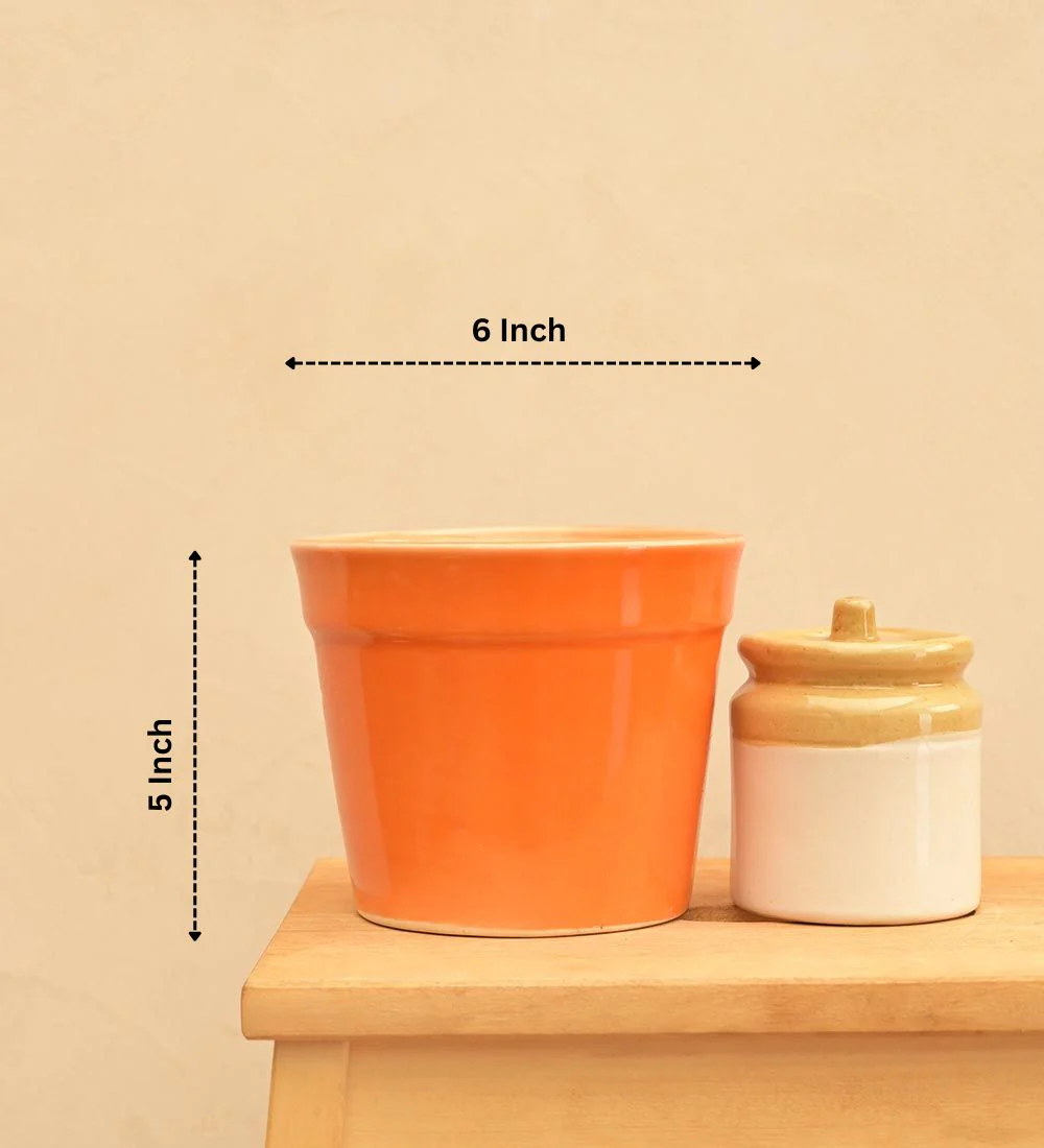 Kaller Ceramic Planter - Image 11