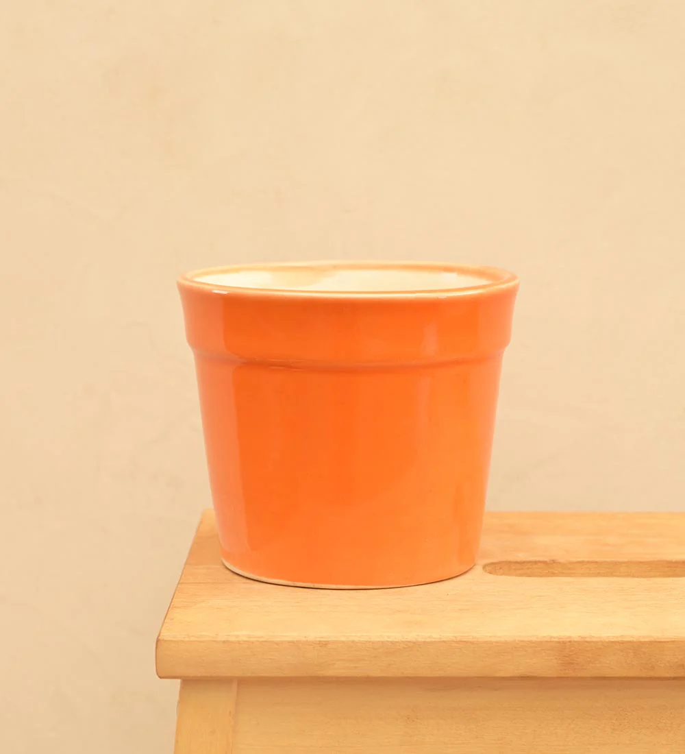 Kaller Ceramic Planter - Image 12