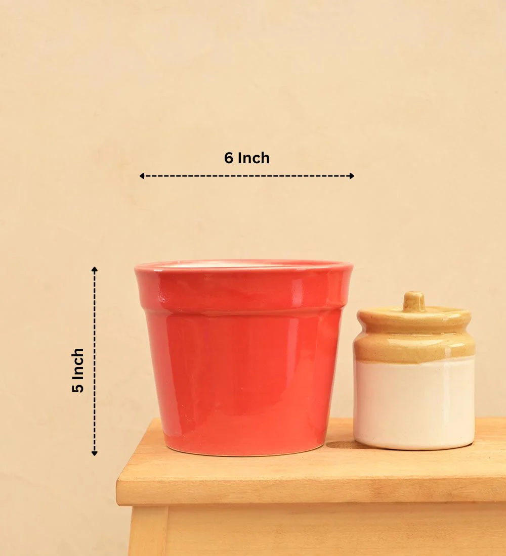 Kaller Ceramic Planter - Image 15