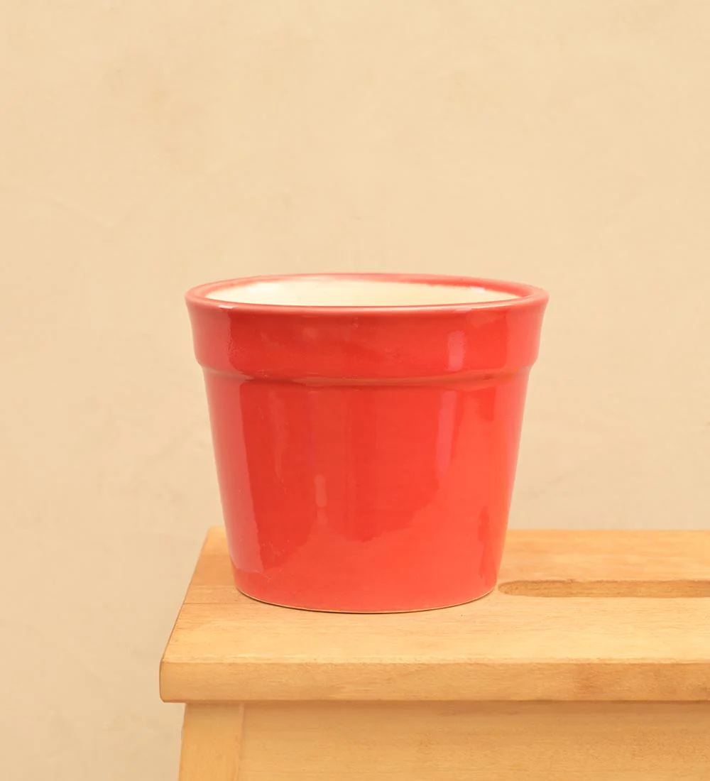 Kaller Ceramic Planter - Image 16