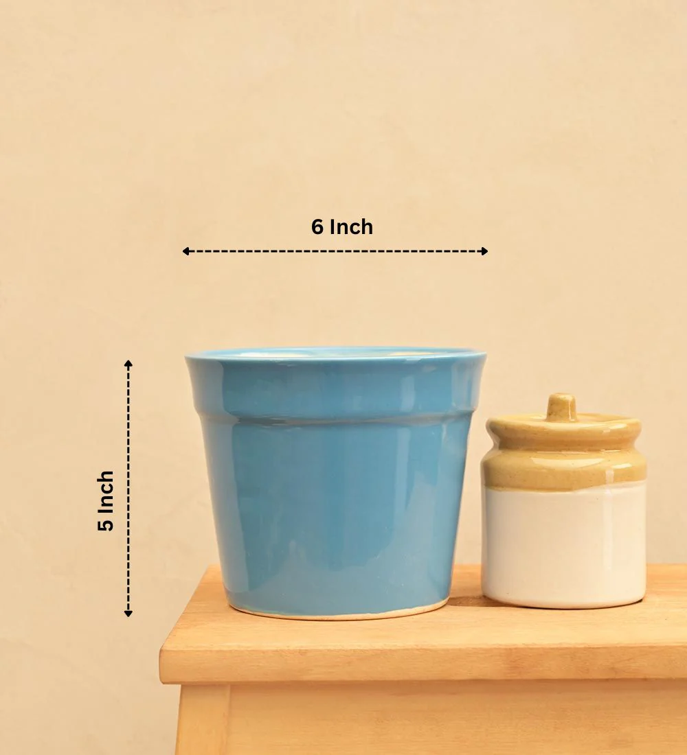 Kaller Ceramic Planter - Image 19