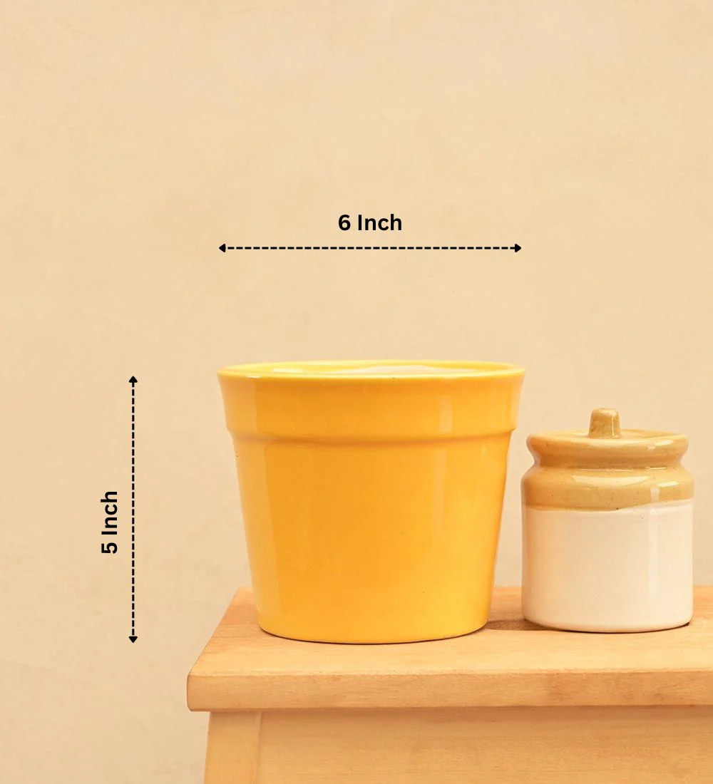 Kaller Ceramic Planter - Image 23