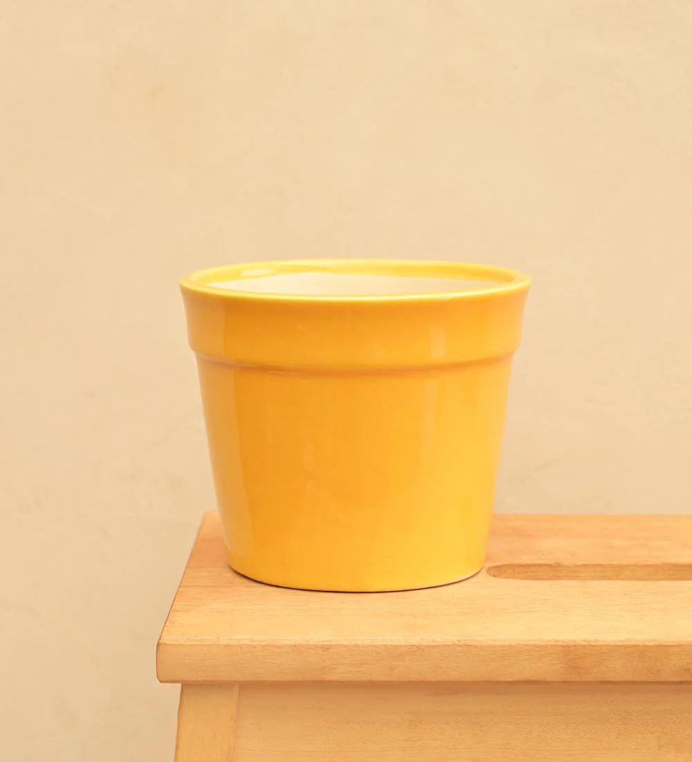 Kaller Ceramic Planter - Image 24