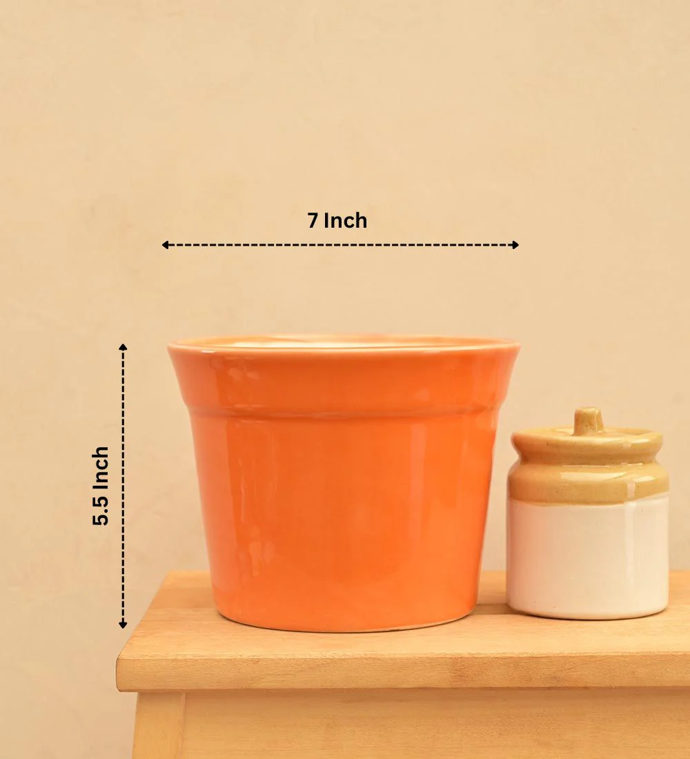 Kaller Ceramic Planter - Image 43