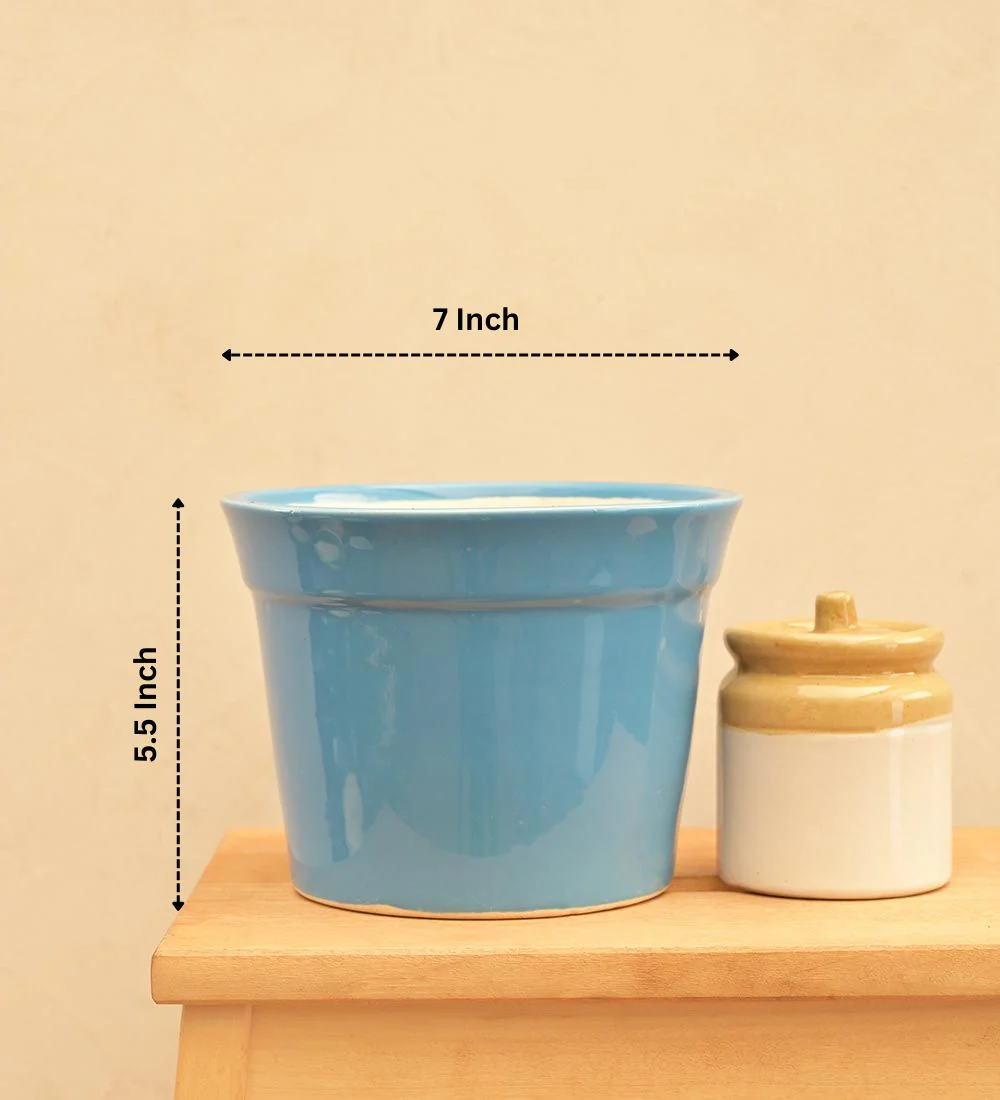 Kaller Ceramic Planter - Image 51
