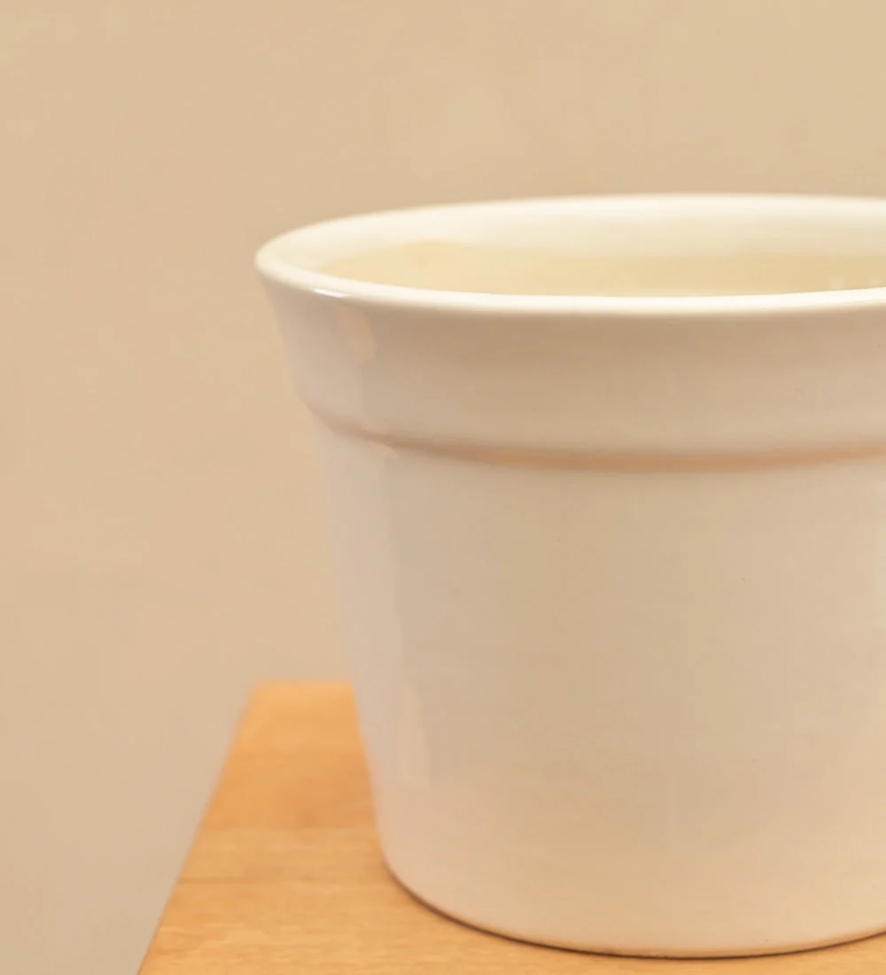 Kaller Ceramic Planter - Image 54