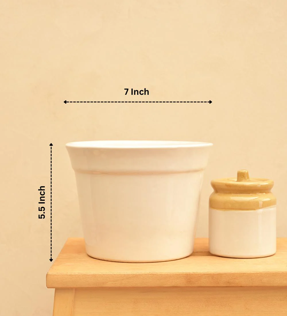 Kaller Ceramic Planter - Image 55
