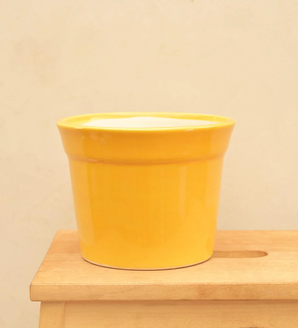Kaller Ceramic Planter - Image 60