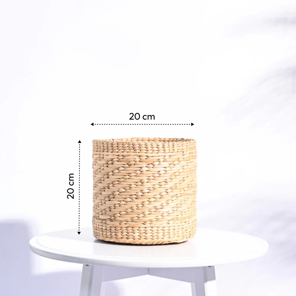 Kauna Grass Planter - Image 12