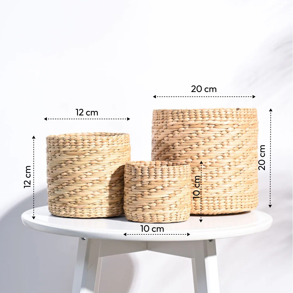 Kauna Grass Planter - Image 17
