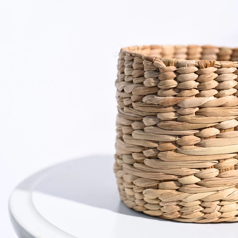 Kauna Grass Planter - Image 5