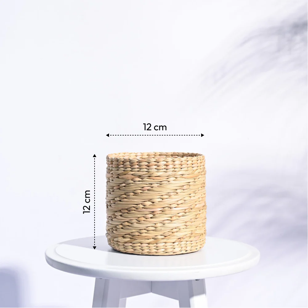 Kauna Grass Planter - Image 7