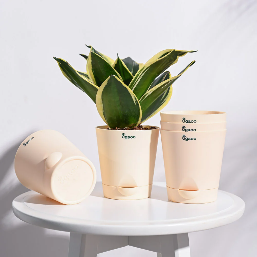 Krish Self Watering Planter - Set of 5 - Image 12