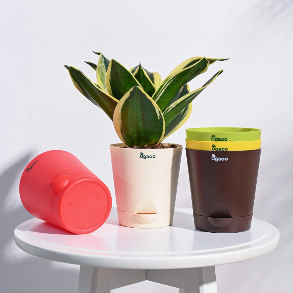 Krish Self Watering Planter - Set of 5 - Image 17