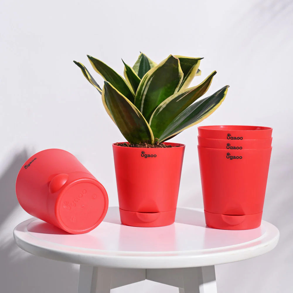 Krish Self Watering Planter - Set of 5 - Image 22