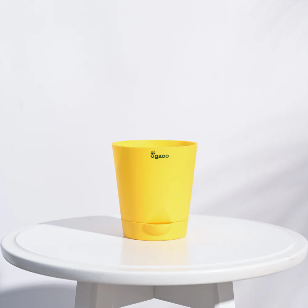 Krish Self Watering Planter - Set of 5 - Image 34