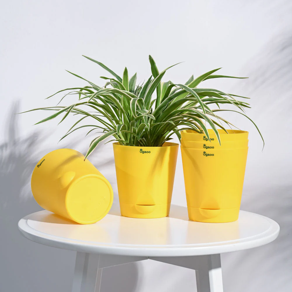 Krish Self Watering Planter - Set of 5 - Image 67