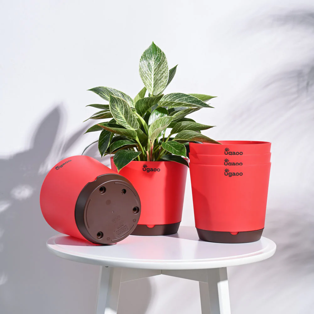 Krish Self Watering Planter - Set of 5 - Image 87