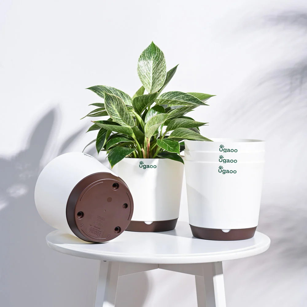 Krish Self Watering Planter - Set of 5 - Image 91