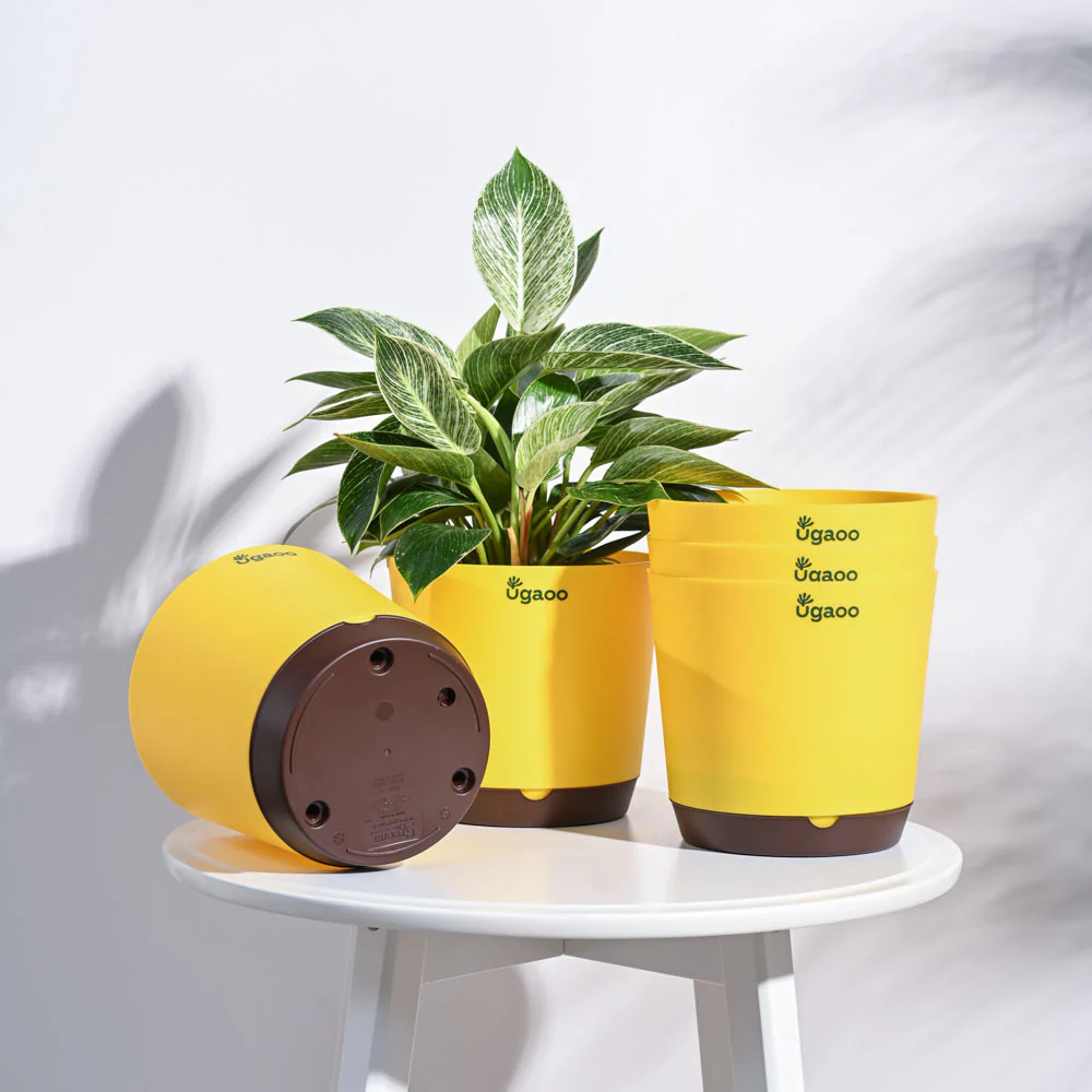 Krish Self Watering Planter - Set of 5 - Image 95