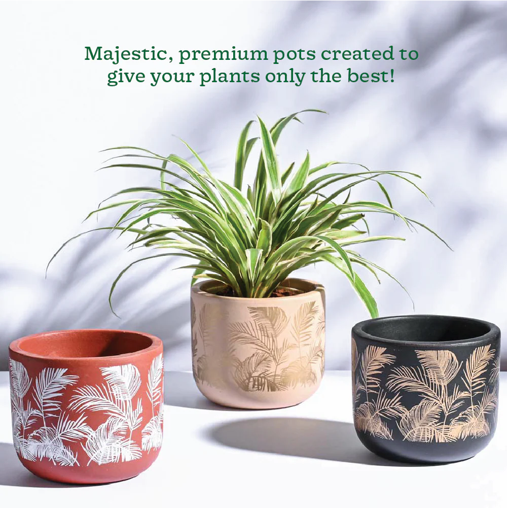 Sienna Terracotta Pots - Set of 3 - Image 3