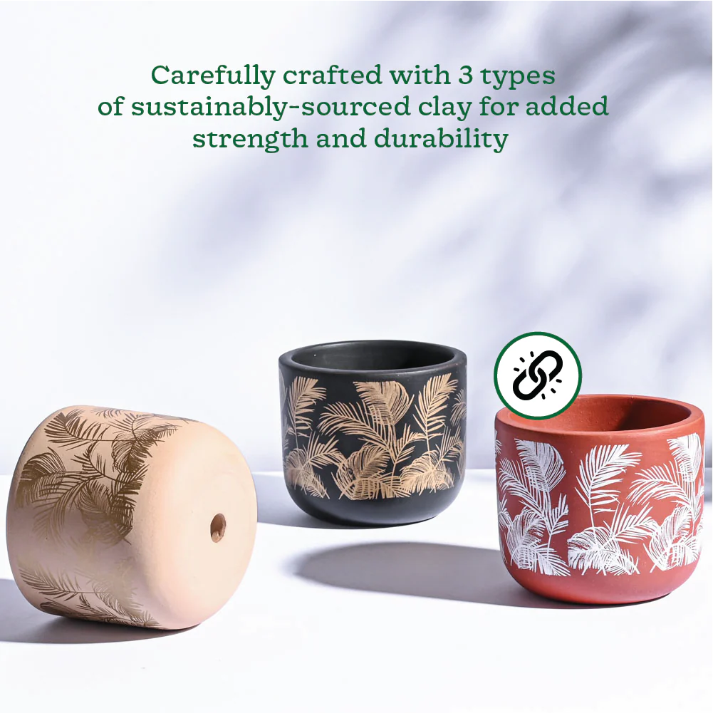 Sienna Terracotta Pots - Set of 3 - Image 4