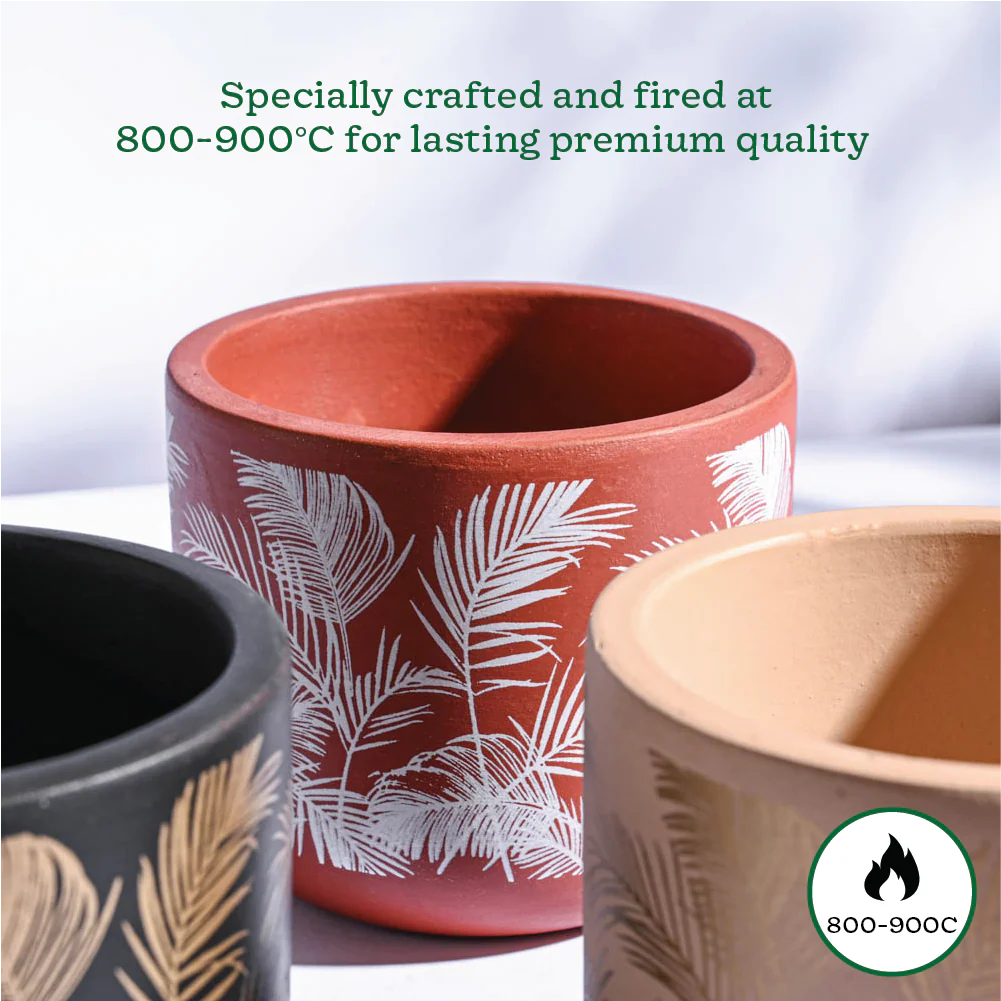 Sienna Terracotta Pots - Set of 3 - Image 5