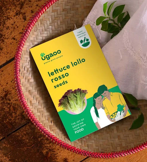 Lettuce Lollo Rosso Seeds - Image 2