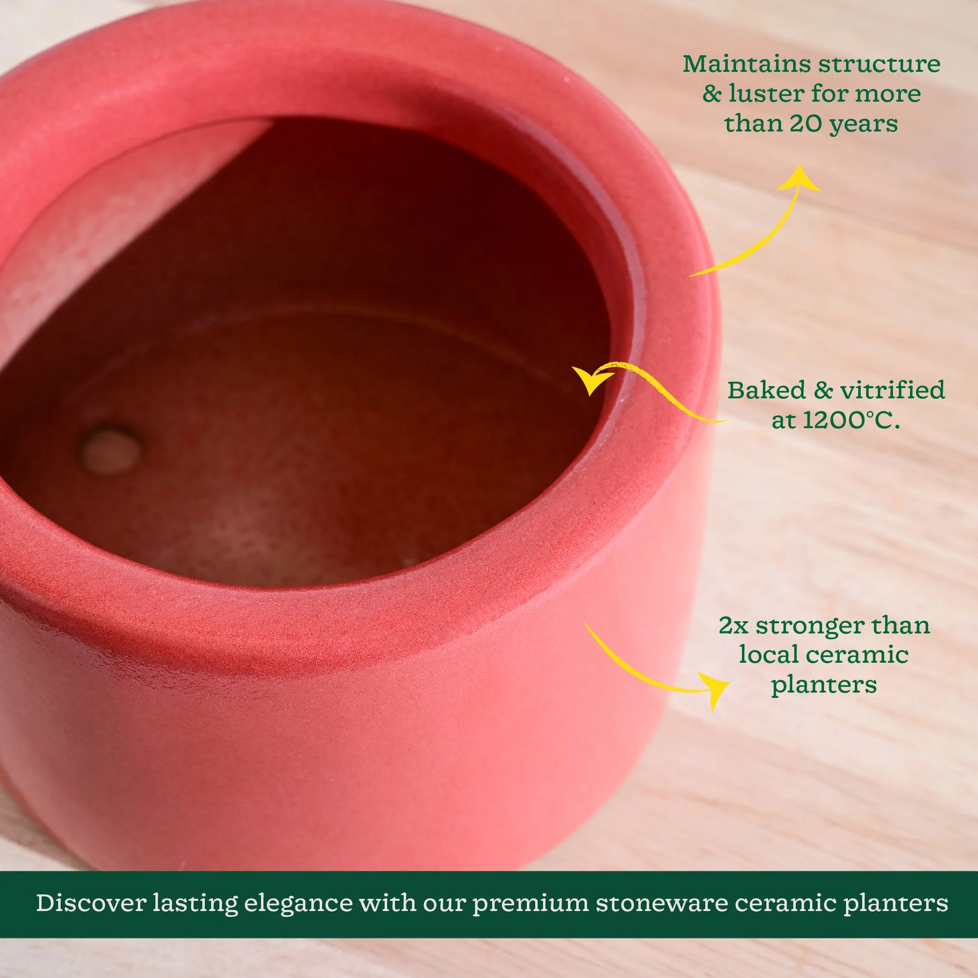 Lilac Stories Bowl Ceramic Planter - Image 53