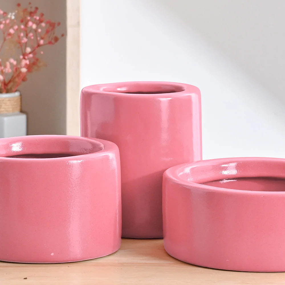 Lilac Stories Bundle - Magenta - Image 3