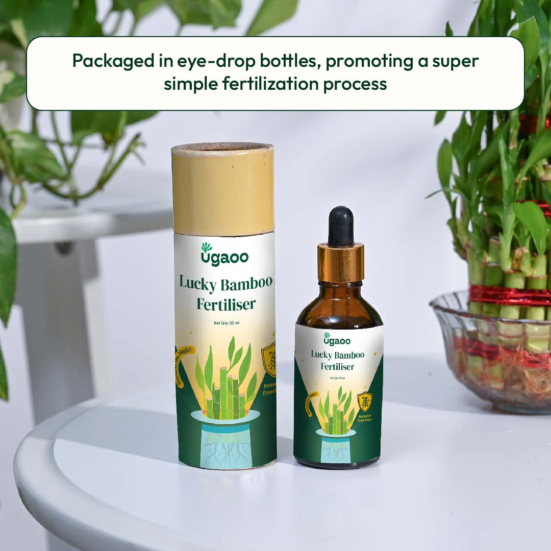 Lucky Bamboo Fertilizer - Image 12