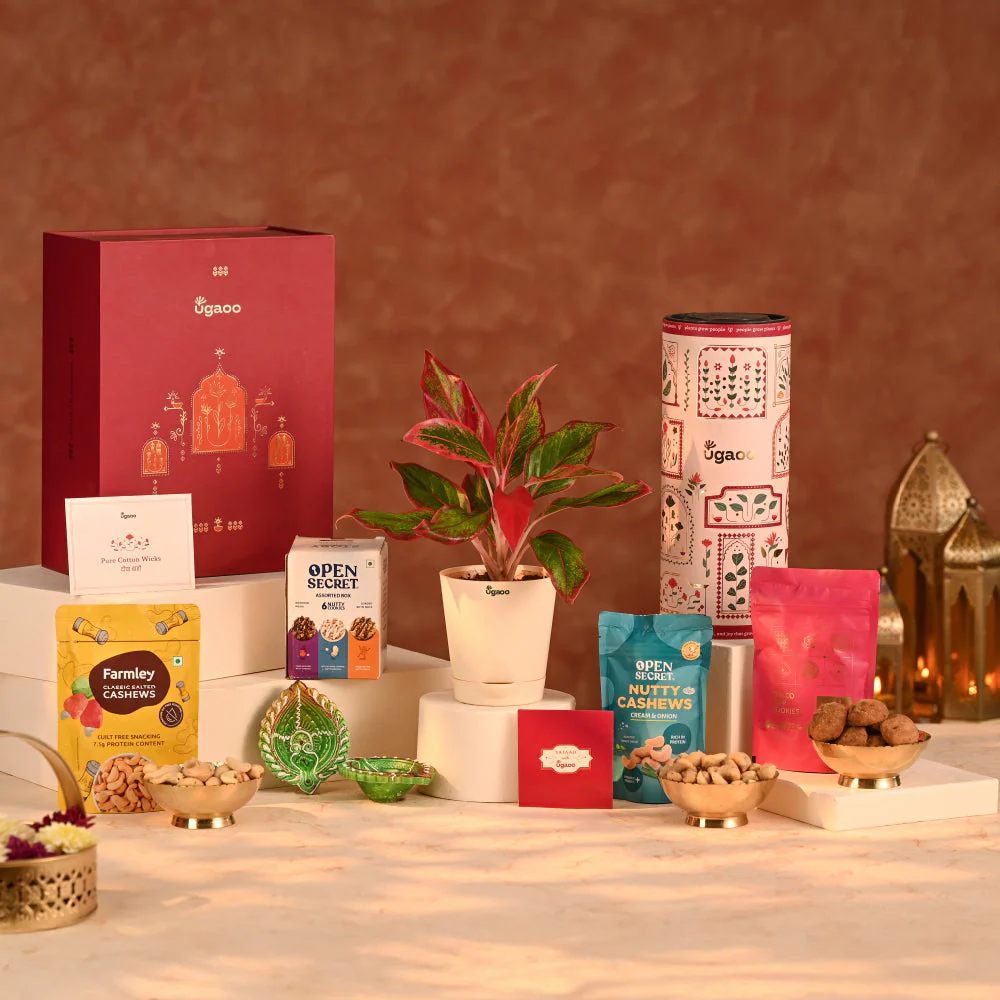 Joy in Bloom - Diwali Gift for Office colleagues or clients