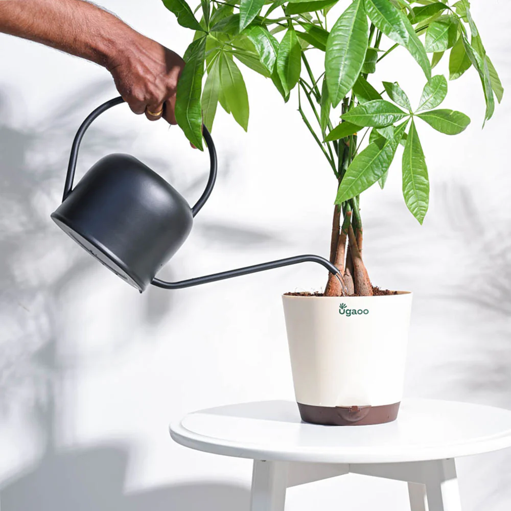 Magnum Watering Can - Image 8