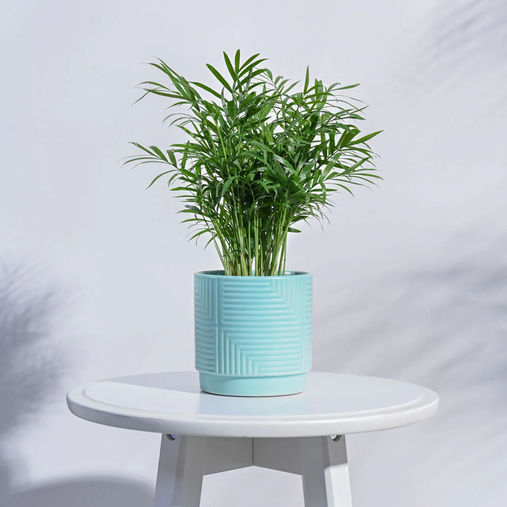 Maze Ceramic Pot - Image 11
