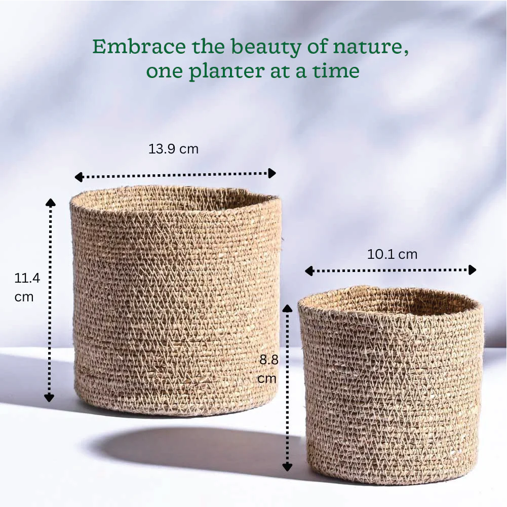 Meadow Planter - Set of 2 - Image 6