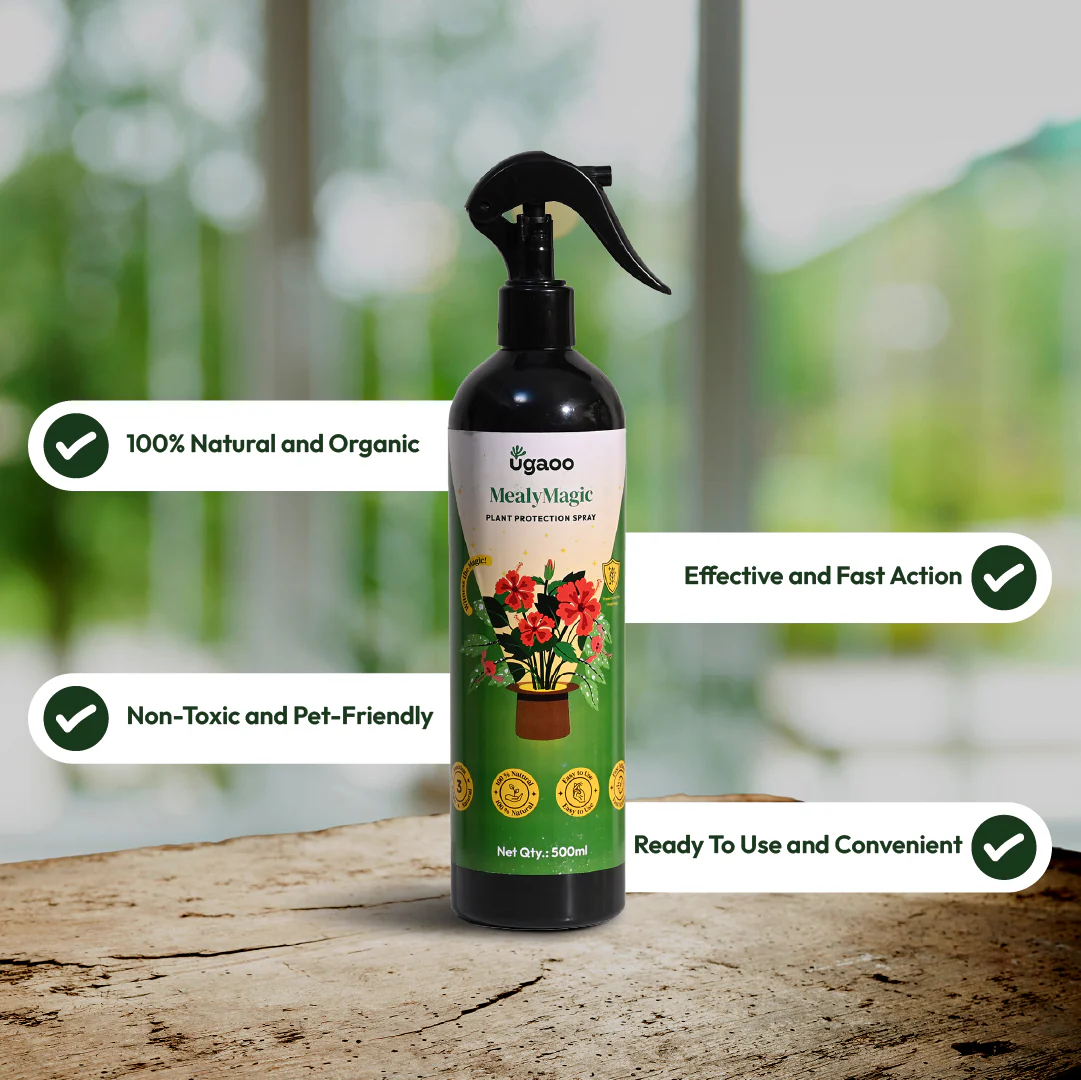 Mealybug Magic Spray for Plant Protection - Image 4