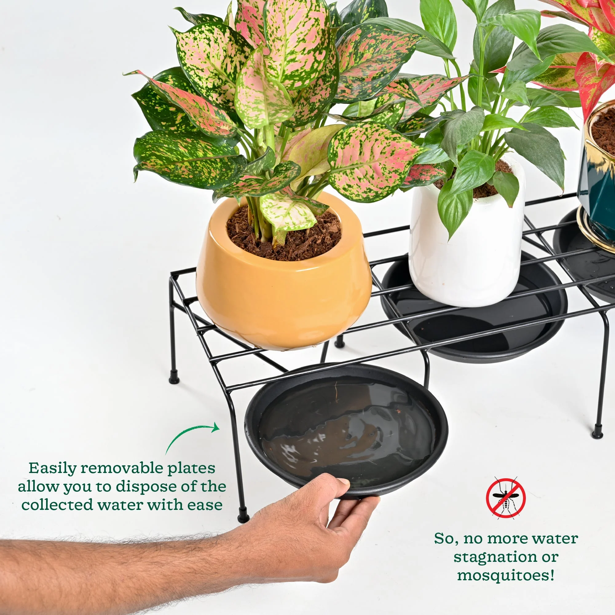 Metal Plant Stands with Drip-tray Holder - set of 4 - Image 9
