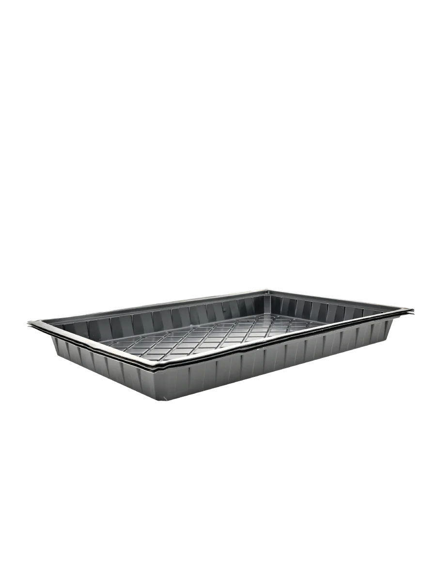 Microgreen Tray - Set of 3 - Image 3