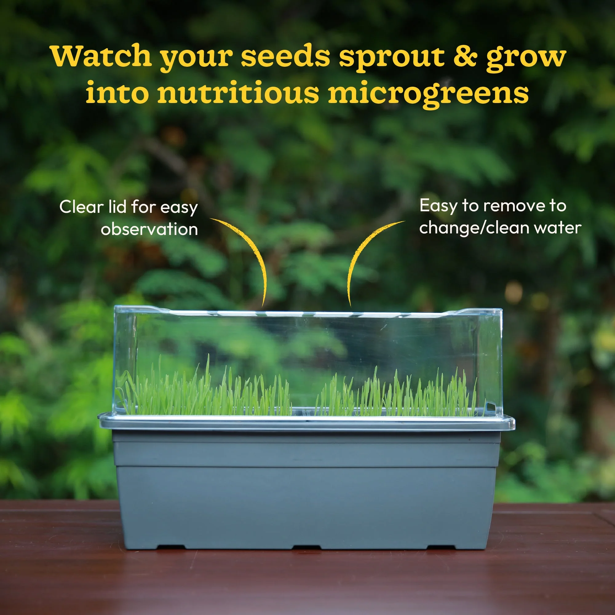 Microgreens Growing Tray - Image 2