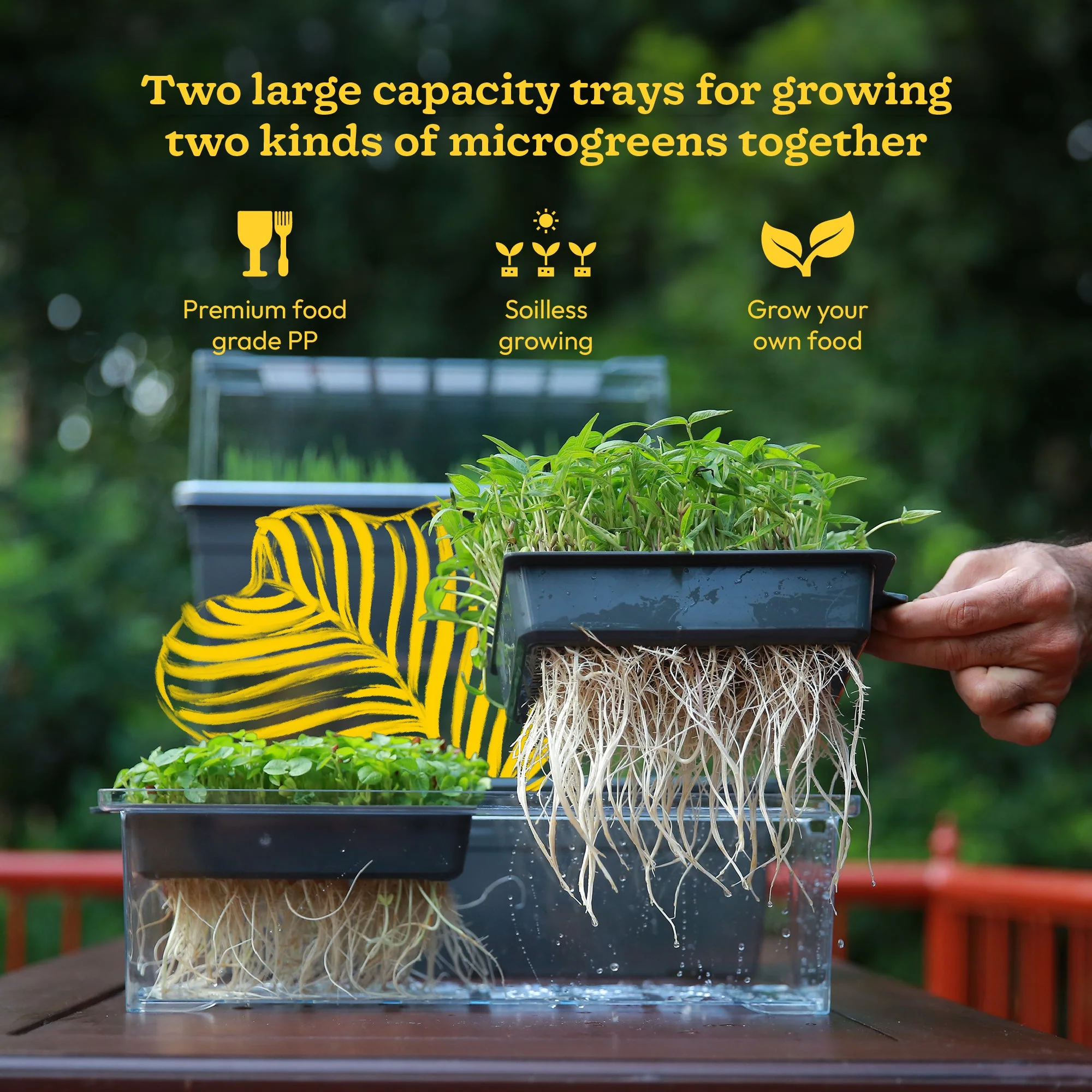 Microgreens Growing Tray - Image 5