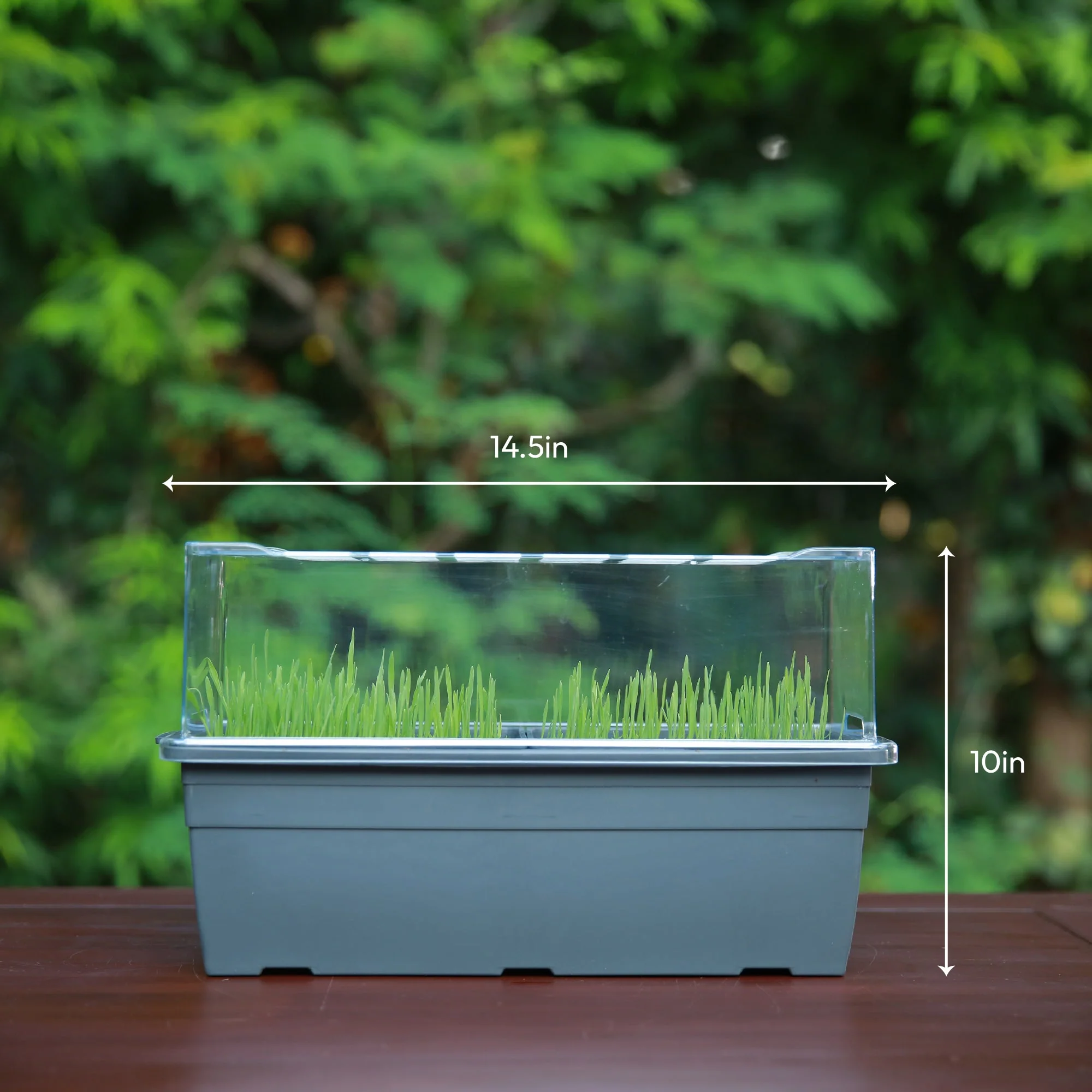 Microgreens Growing Tray - Image 6