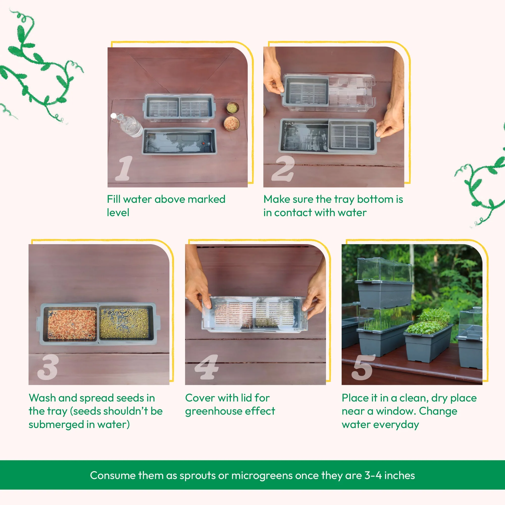 Microgreens Growing Tray - Image 7