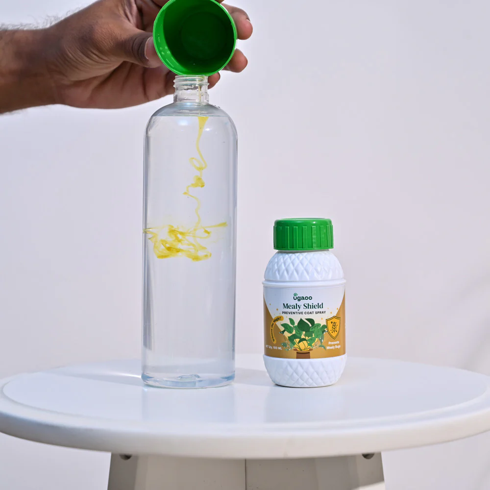 Mealy Shield - 100 ml - Image 3