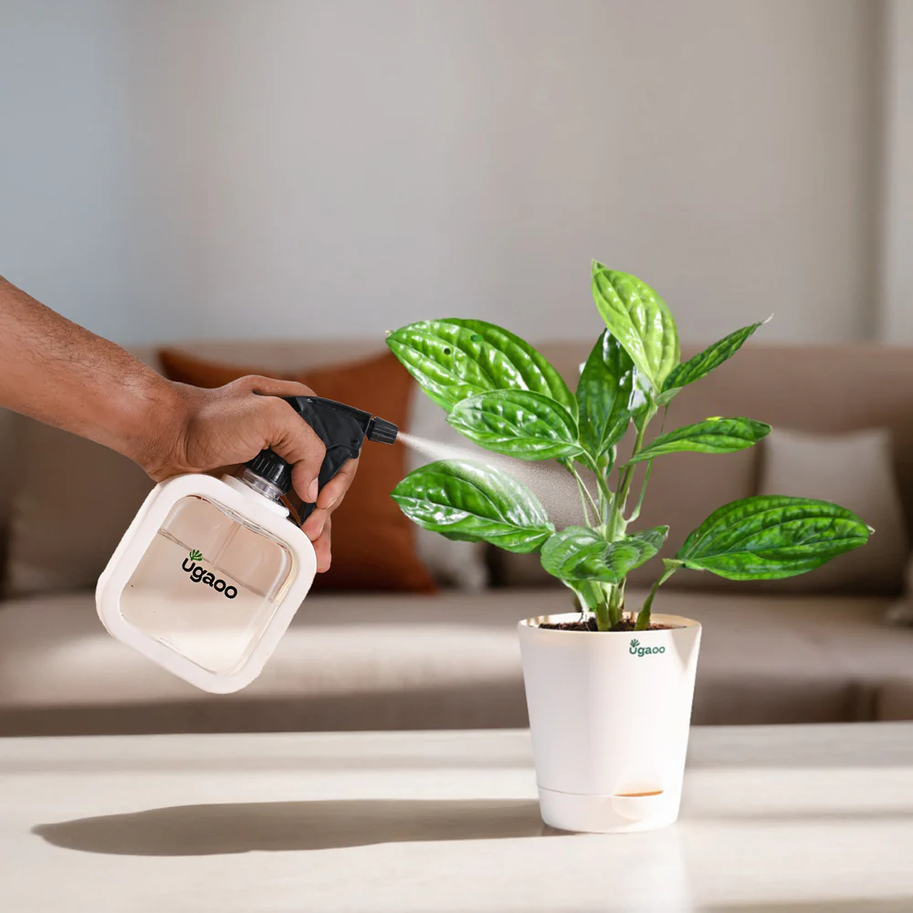 Mistio Sprayer for Plants - Image 18